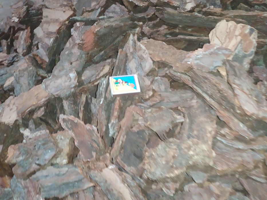 Кора соснова в Обухові