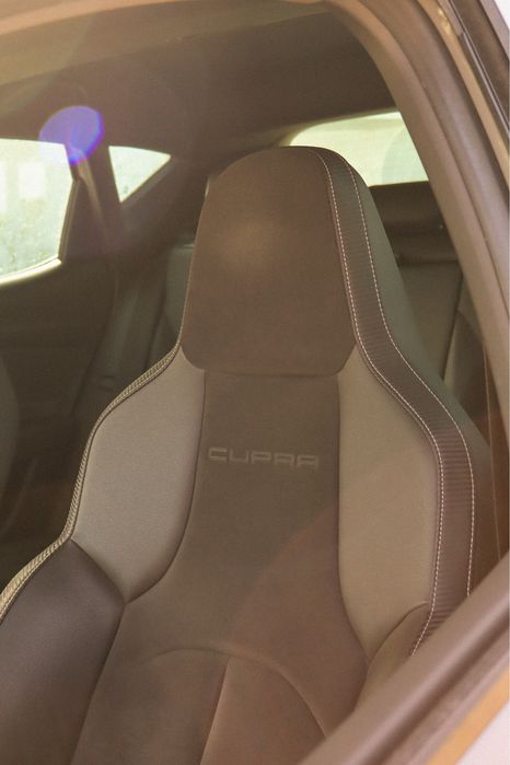 Seat leon cupra 290