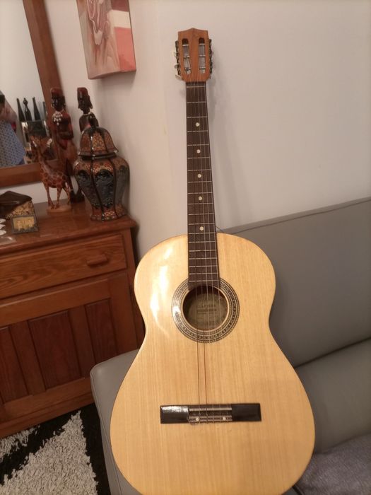 Viola portuguesa + saco