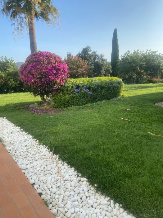 Serviços de jardinagem