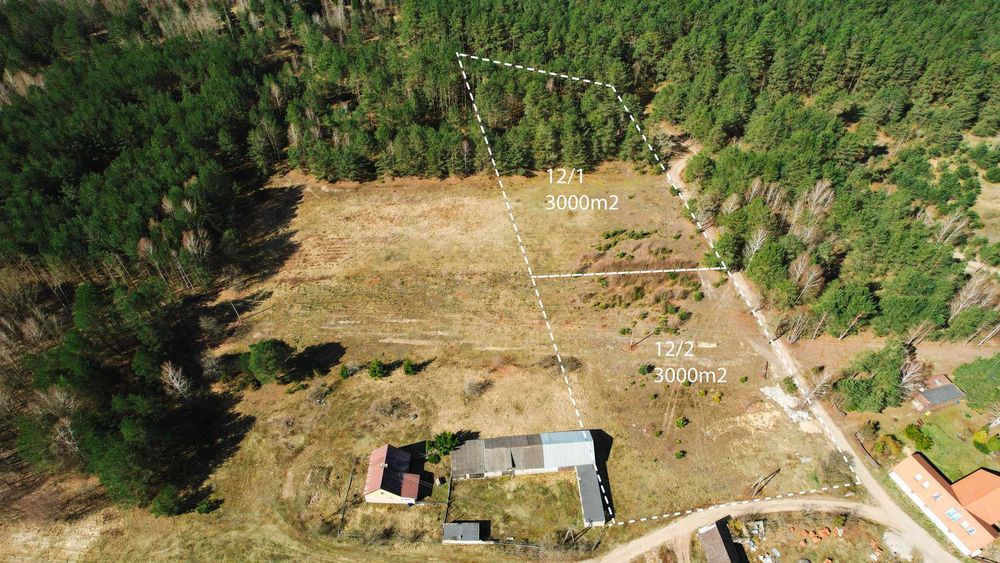 Działka rolna z WZ w Biebrzańskim Parku Narodowym / Sojczynek 3000 m² - Widok 5