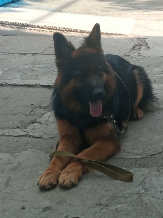 Мальчик ищет девочку для развязки