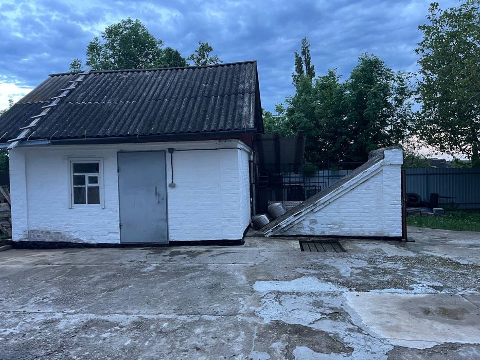 Приватний будинок з присадибною ділянкою в селищі Маньківка