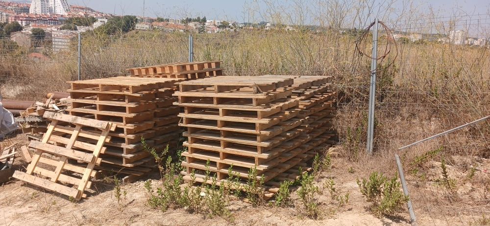 Venda de Paletes pinho
