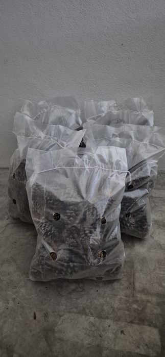Sacos de Pinhas lareira
