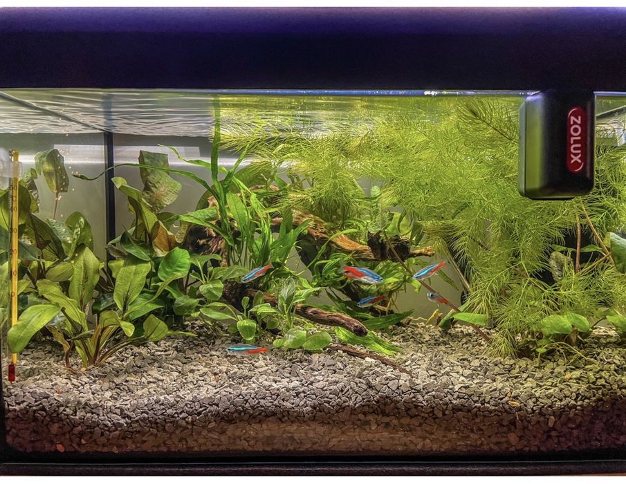 Akwarium 25 l Diversa pełny zestaw LED Plant WiFi Aquael