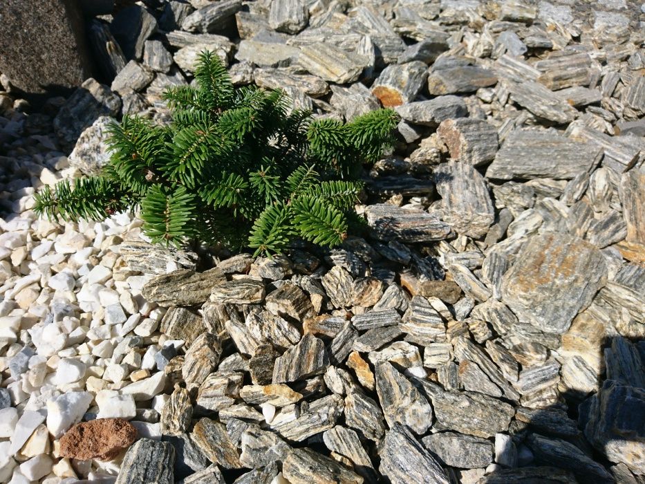 Kora kamienna 8-16, 11-32, 32-63 WORKI/luz