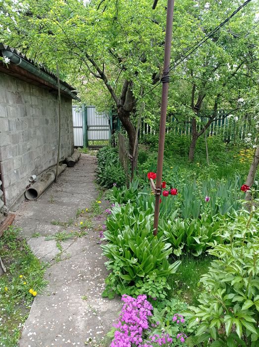 Будинок та земельна ділянка 9сот. по вулиці 1-го Травня.