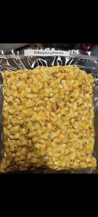 Kukurydza gotowana 24kg