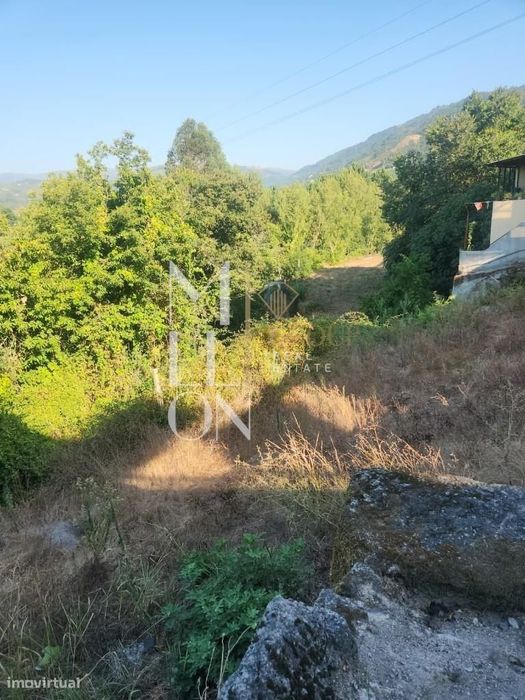 Ruína T3 Com Dois Artigos E 3.100 M² De Terreno — Padronelo, Amarante