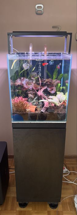 Akwarium 49L kostka z calym osprzetem