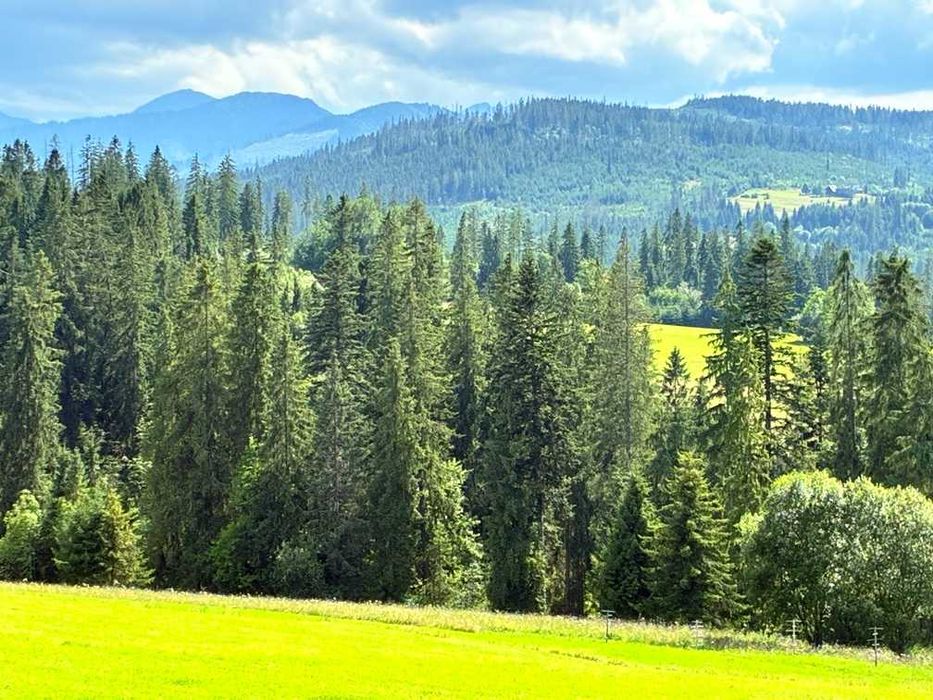 Boże Ciało - Domek z prywatnym jacuzzi i sauną – Witów, Chochołów,  Zakopane 13 km