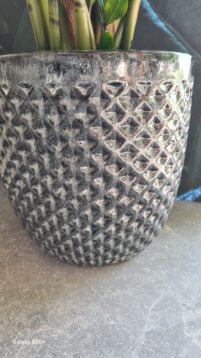 Zamiokulkas z donicą