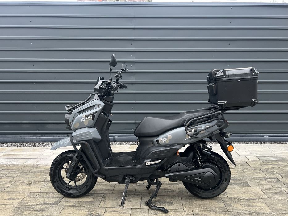 Forte unicorn ev