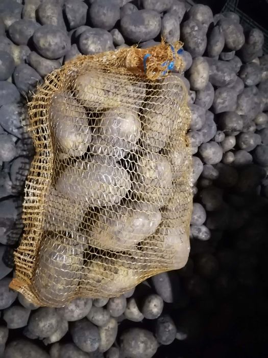 Ziemniaki 15 kilo bardzo smaczne prosto z gospodarstwa wysyłka paczkom