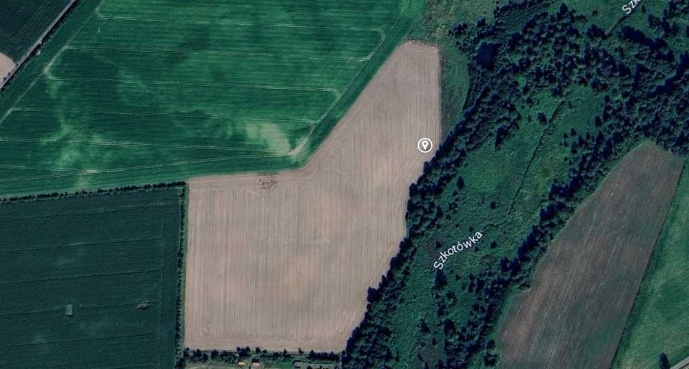 Działka 3000 m² z MPZP | Siedlisko | Możliwość budowy domu z poddaszem | Gołębiewo - View 3