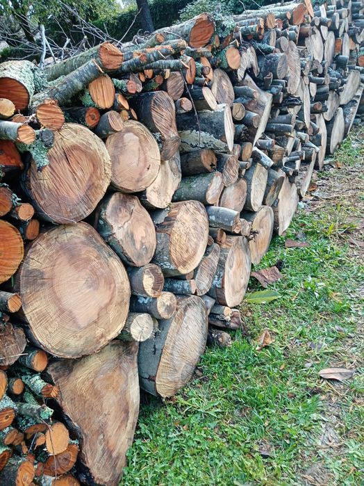 Lenha seca para fogões