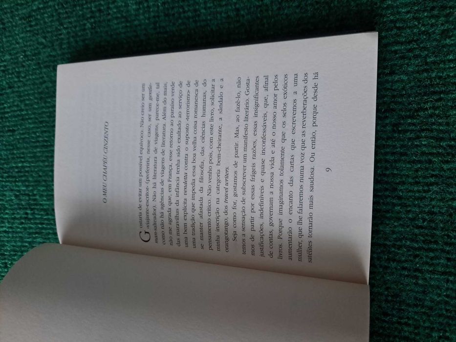 O meu chapéu cinzento - Olivier Rolin