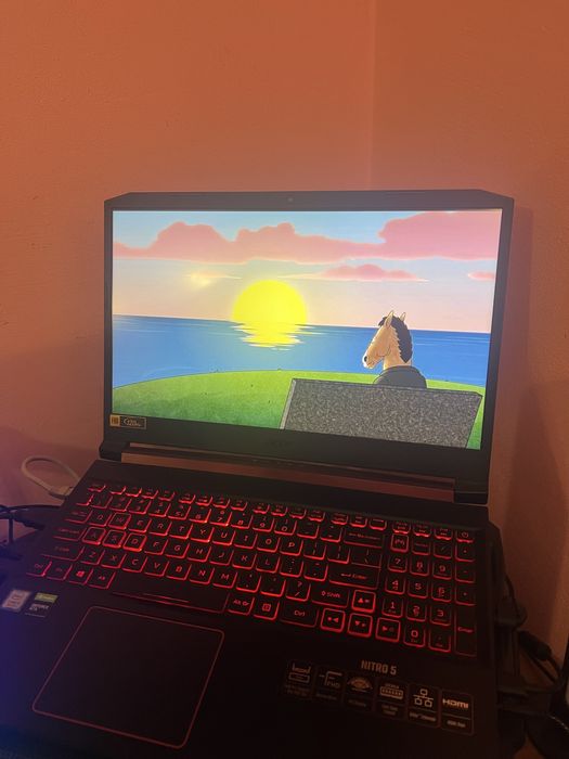 acer nitro 5.