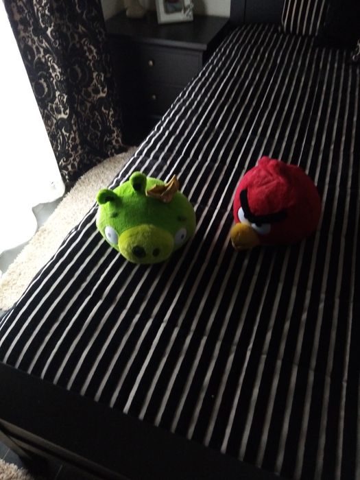 Peluches grandes pequenos