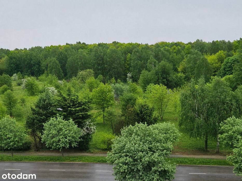 Północ, 2 pokoje, duży balkon, widok na las! - Widok 6