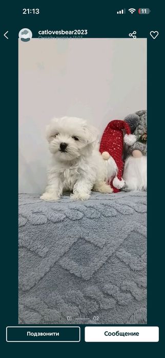 Очень маленькая микро девочка