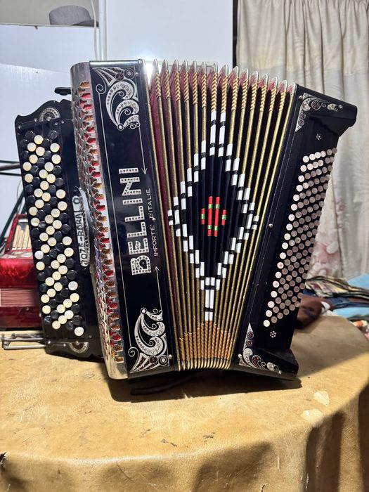 Vende-se lote de acordeons