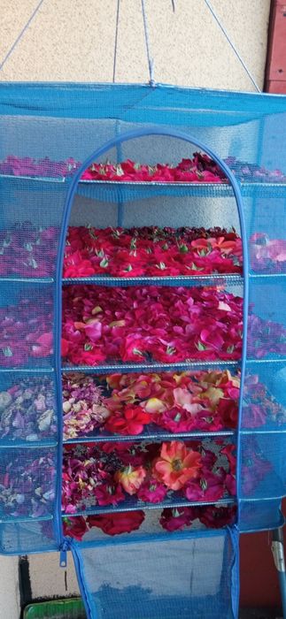 Лекарственные травы ...цветы ,травы для чая