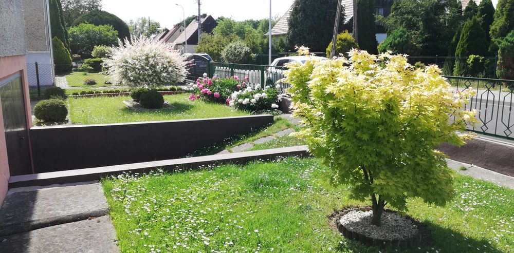 Przestronny dom wolnostojący z ogrodem – Kędzierzyn-Koźle, ul. Karpacka.