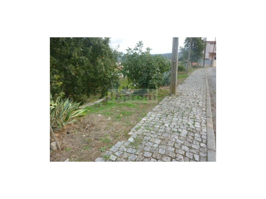 3 Lotes de terreno urbano