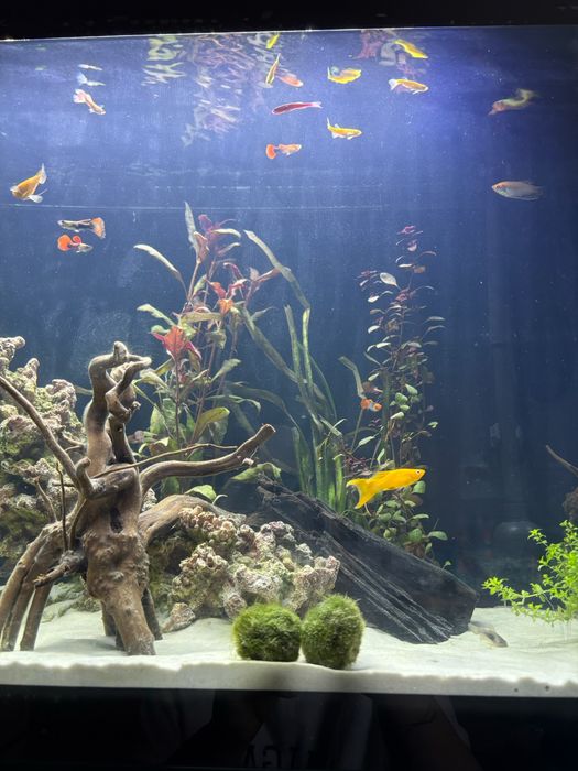Akwarium 120l + kompletny osprzęt