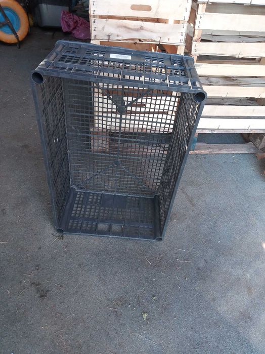 Plastikowe łuszczki