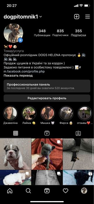 Щеночки в продаже )