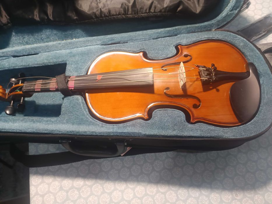 Violino 1/2, stentor