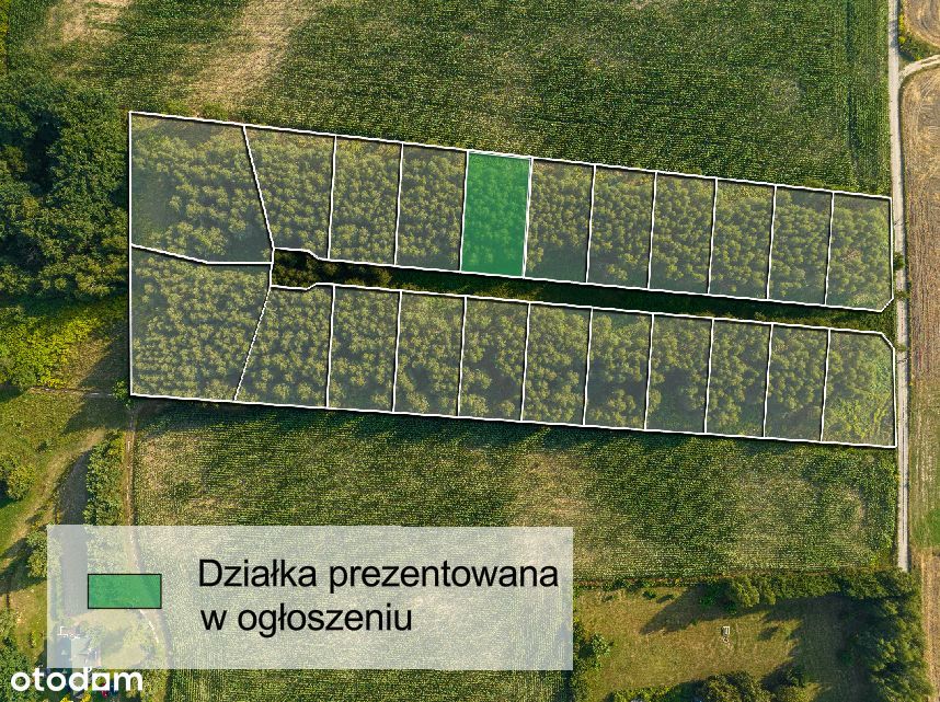 Oaza spokoju na Mazurach