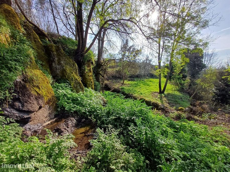 Quinta situada em plena natureza