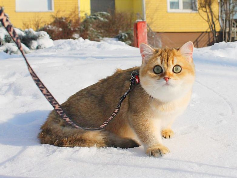 Шикарний хлопчик чекає найкращу маму