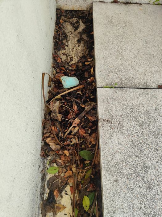 Limpeza de algerozes