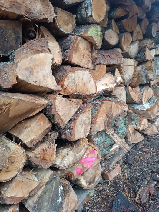 Drewno kominkowe opalowe