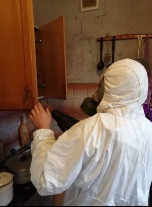 Професійне знищення тарганів клопів боротьба з бджолами комарами