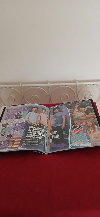Dossier Jonas Brothers, novo
