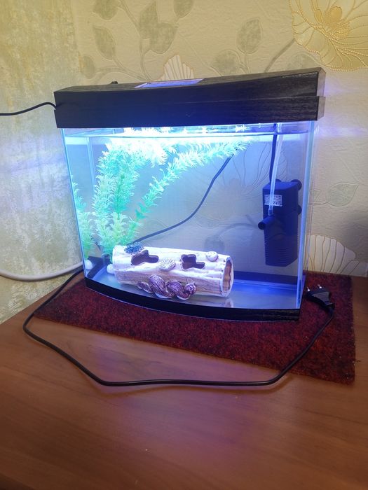 Аквариум для рыбок.