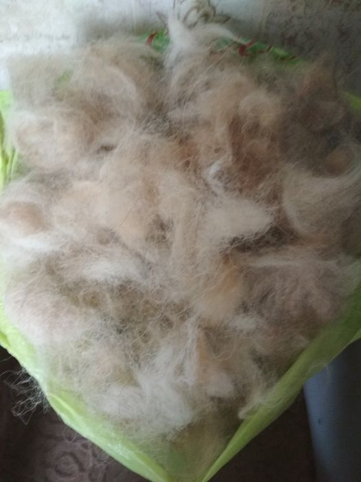 Продам підшерстку собачу