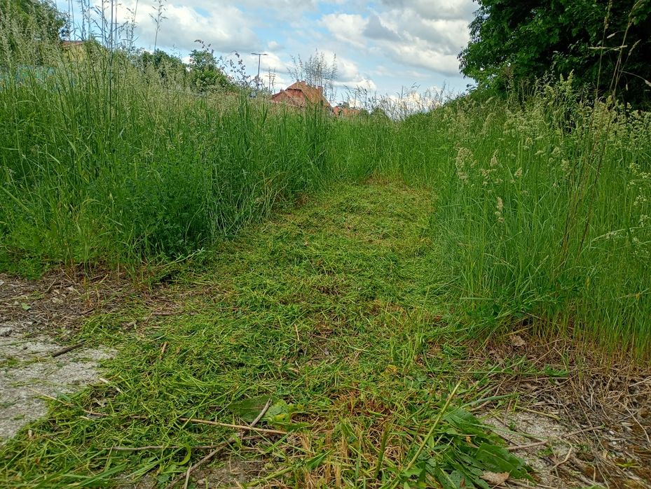 Skoszę trawę zarośla nieużytki