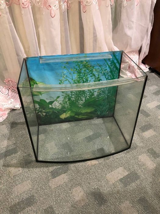 Аквариум обсалютно цел,есть еще