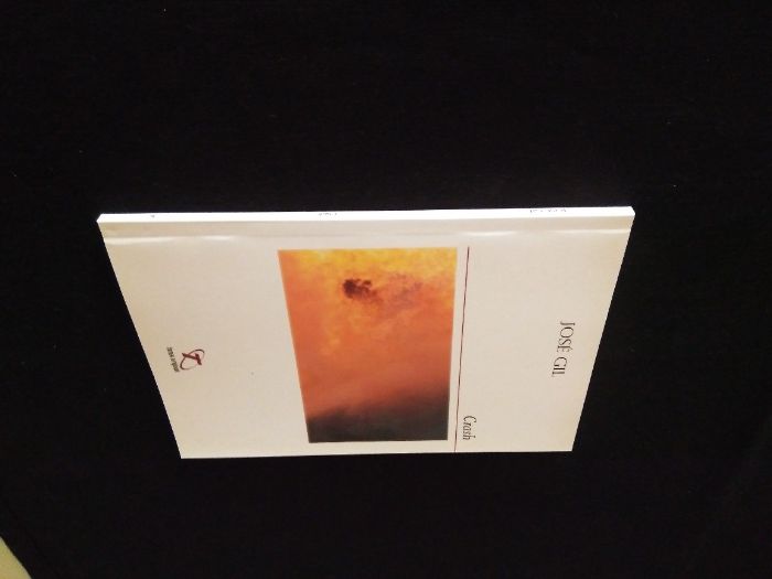 Raro - José Gil - Crash - Poesia