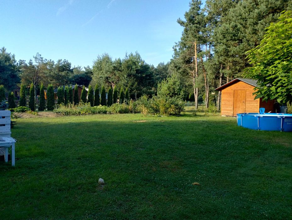 Sprzedam dwie działki w ROD "Piotruś" w Styrzyńcu