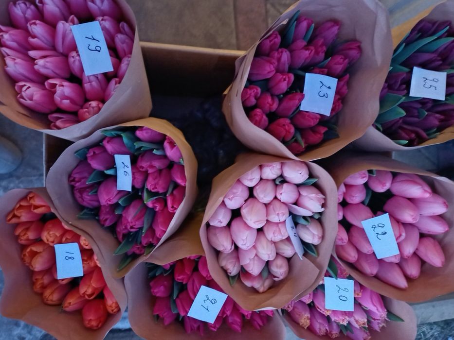 Ліквідація все по 30грн тюльпан з грядки опт та роздріб не голандія