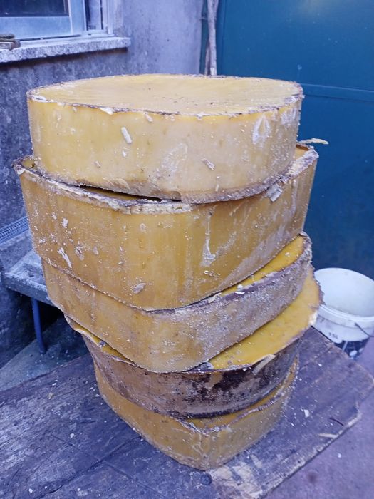 Cera abelhas apicultura colmeia
