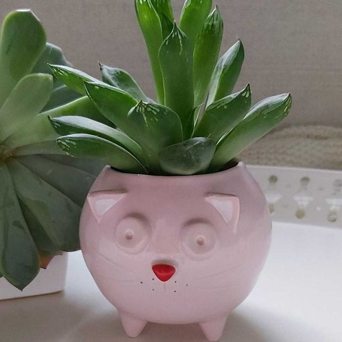 Mała różowa doniczka ceramiczna kot - Rękodzieło na prezent - Lamabo